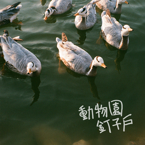 俄罗斯ree性ⅩXXHD
